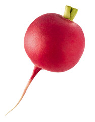 Fresh raw Red Radish with green leaves falling in the air isolated on white backgriund. Food...