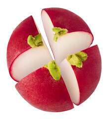 Fresh raw Red Radish with green leaves falling in the air isolated on white backgriund. Food...