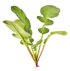Fresh green Radish leaves falling in the air isolated on white backgriund. Food levitation or zero...