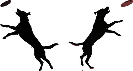 Energetic Dogs Leaping for Frisbee Silhouette Vector