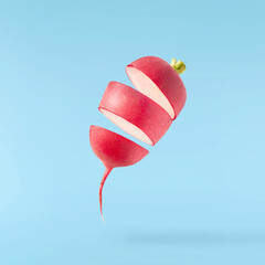Fresh raw Red Radish with green leaves falling in the air isolated on blue backgriund. Food...