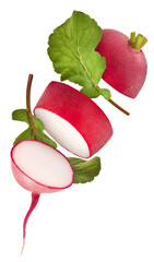 Fresh raw Red Radish with green leaves falling in the air isolated on white backgriund. Food...