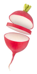 Fresh raw Red Radish with green leaves falling in the air isolated on white backgriund. Food...