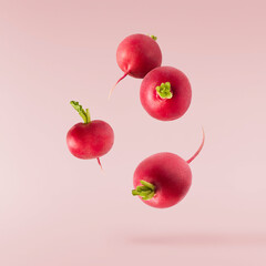 Fresh raw Red Radish with green leaves falling in the air isolated on pink backgriund. Food levitation or zero gravity conception.