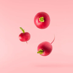 Fresh raw Red Radish with green leaves falling in the air isolated on pink backgriund. Food...