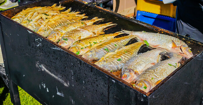 Sea fish on the grill. Fresh vimba vimba fish being grilled