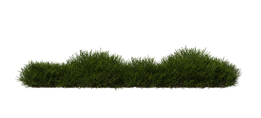 Dense Green Shrubs Isolated on Transparent Background for Landscape and Architecture Visualization