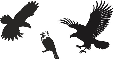 eagle vector illustration black art silhouette 