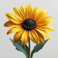 Vibrant, bright, yellow flower with dark center, green leaves, isolated on light background