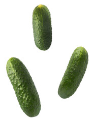 Fresh raw cucumber  falling in the air isolated on white background. Food levitation or zero...