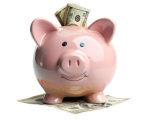 piggy bank and money