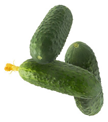 Fresh raw cucumber  falling in the air isolated on white background. Food levitation or zero...