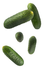 Fresh raw cucumber  falling in the air isolated on white background. Food levitation or zero...