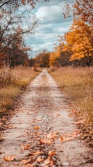 Autumn path through golden trees