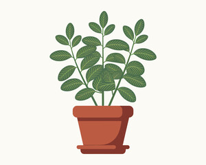 Illustration of a Bushy Houseplant in a Terracotta Pot
