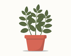 Obraz premium Potted plant illustration for home decor nature design