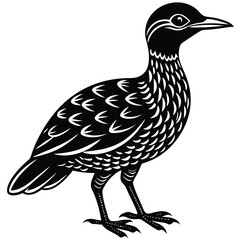 Fototapeta premium A oilbird-vector-style-illustration 