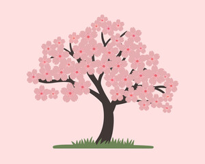 Fototapeta premium Vector Sakura Tree Blossom For Spring Asian Design
