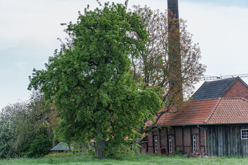Frühsommer in Vorden im holländischen Gelderland