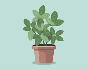 Obraz premium Aesthetic Potted Plant Illustration for Home Decor and Design Projects