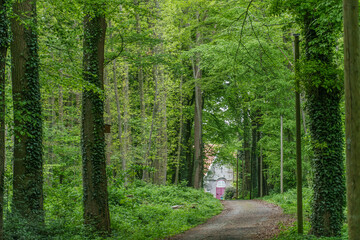 Fototapeta premium Südlohn im Münsterland