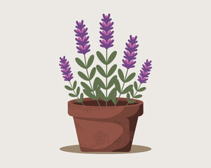 Potted Lavender Plant Illustration Beautiful Floral Herb Image