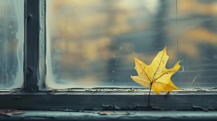 Obraz premium Autumnal Reflection: A Single Yellow Leaf Adhering to the Window Frame