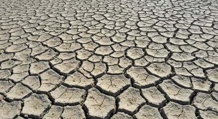 Cracked, dry earth