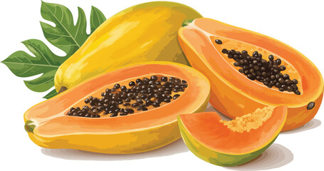 Papaya with papaya slice isolated in white background vector design, Papaya illustration vector design