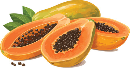Papaya illustration vector design, Papaya with papaya slice in white background vector design