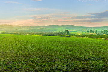 green orange gardens on a natural summer landscape with beautiful fruit trees and sunset sky on background