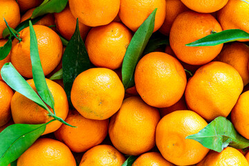 Fresh mandarin oranges fruit or tangerines with leaves, as background. Mandarins close up with leaves