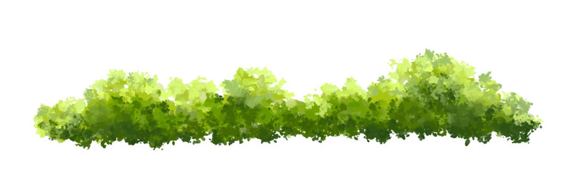 green grass isolated on white, Vector of green tree side view isolated on white background ,watercolor tree elevation for landscape concept,environment scene,eco design, garden for spring