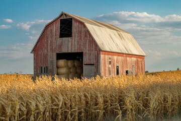 Rustic Barn With Hay Bales In Golden Cornfield Under A Blue Sky At Sunset