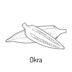 Black and white okra pod illustration. Botanical line art of whole and cut okra, perfect for coloring books, educational materials, packaging, and herbal design projects.