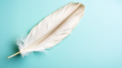 Naklejka premium Delicate white feather on a light blue background conveys simplicity and elegance