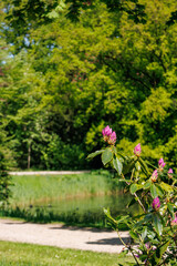 sonniger tag in vorden in den Niederlanden