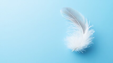 Graceful white feather resting gently against a soothing blue backdrop