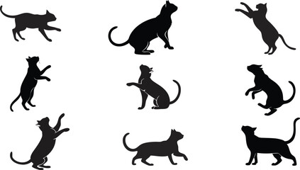 set of cats silhouettes vector art 
