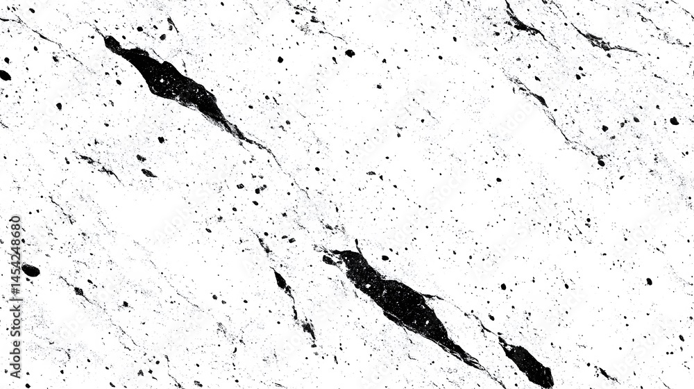 Poster abstract black and white textured design pattern.