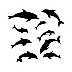 Silhouette of a Dolphin set clipart on a white background