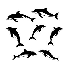 Silhouette of a Dolphin set clipart on a white background