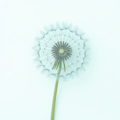 Delicate dandelion flower with intricate seed structure, showcasing nature beauty and fragility in soft pastel background
