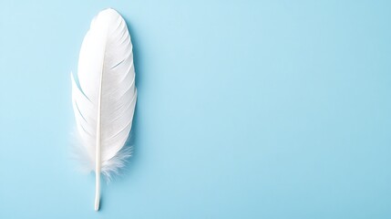 Obraz premium Single White Feather on Light Blue Background Represents Purity and Innocence