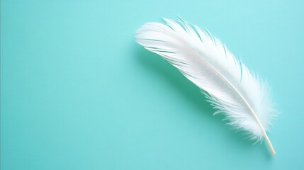 Serene simplicity: A pristine white feather gracefully resting on a turquoise canvas