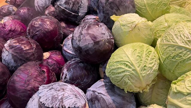 Cabbage on the counter in the store. Green and red cabbage in the store. White and red cabbage on supermarket counter fresh vegetables for customers.
