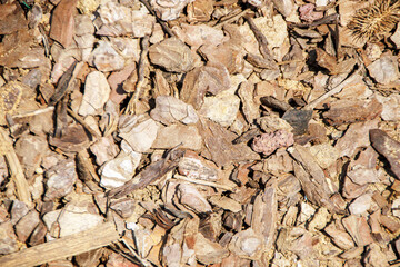 wood barks on the ground, background