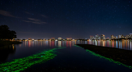 Night Sky Over City Lake with Glowing Algae and Starry Background