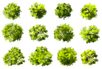 Obraz premium Vector watercolor green tree or forest top view isolated on white background for landscape plan and architecture drawing,plant for environment or garden,botanical element for exterior layout