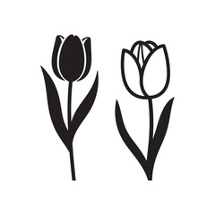 Stylized Tulip Flower Silhouettes in Monochrome Style, Abstract Black and White Tulip Line Art Vector Set